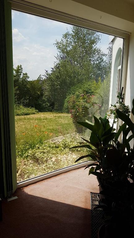 Zahrada ubytování Homestay Kuchařovice