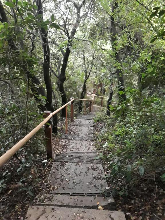 Paesaggio naturale nelle vicinanze del lodge