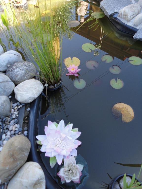 B & B Auf dem Wolf, St. Jakob - Resim 21