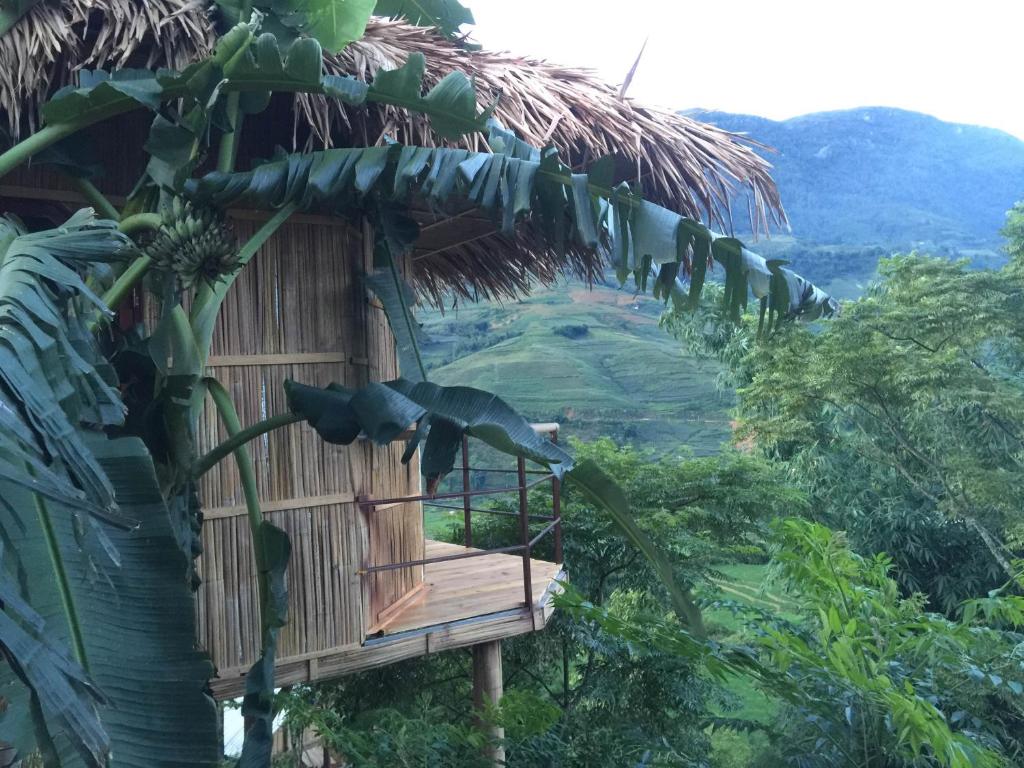 Eco Hills Homestay - 1