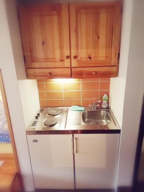 Kuchyň nebo kuchyňský kout v ubytování Guest House Turistična kmetija Plaznik