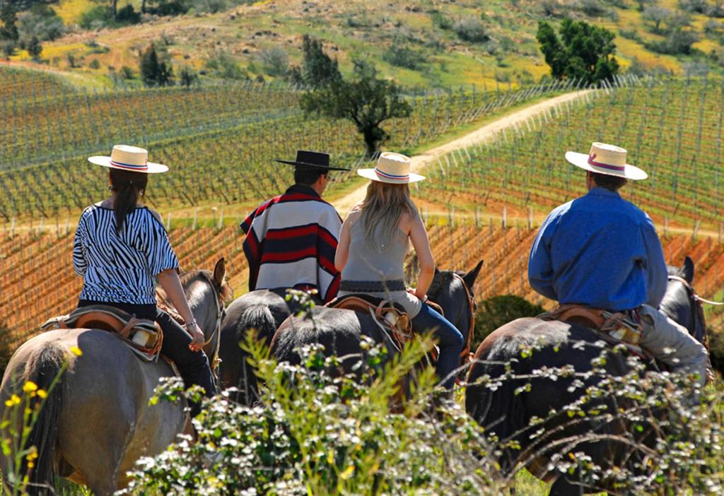 Hosté ubytování La Casona At Matetic Vineyards