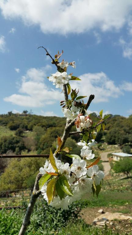 Paesaggio naturale nelle vicinanze del lodge