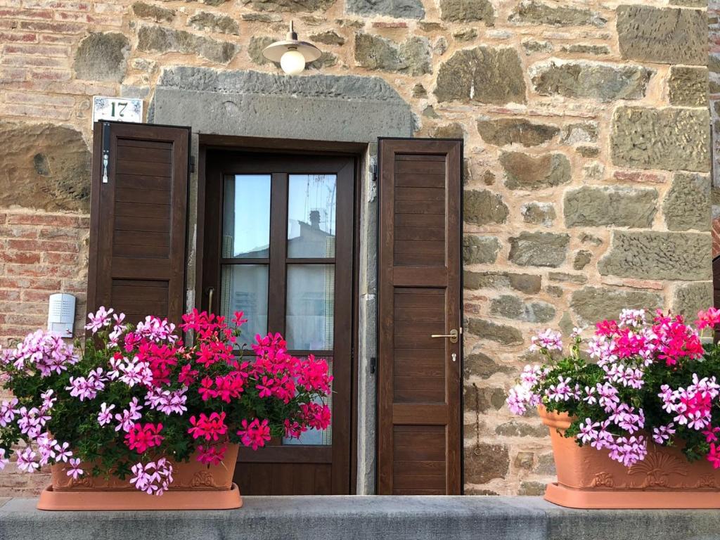 dois potes de flores na frente de uma porta em Babbo Rino em Vagliagli