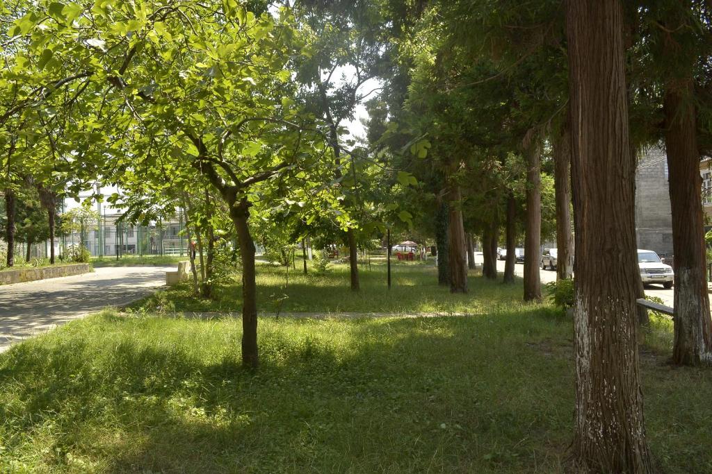 Příroda nedaleko ubytování v soukromí