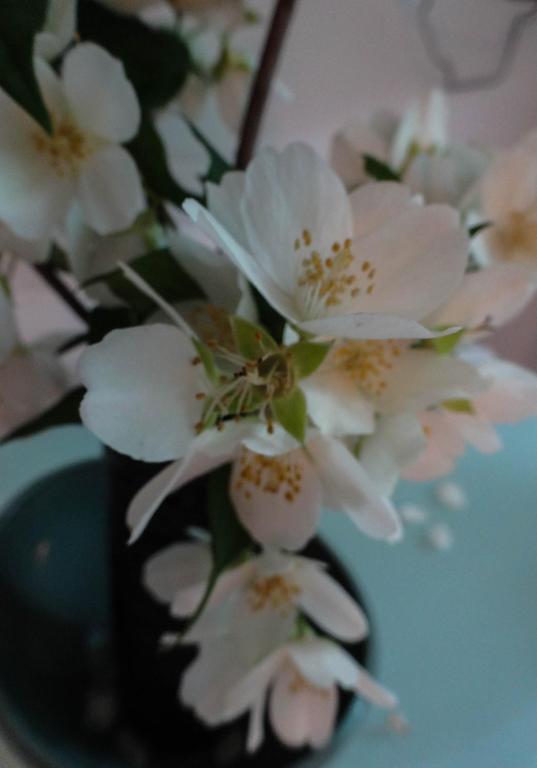 Apartman Sara vl. Franjo Klasić - 18