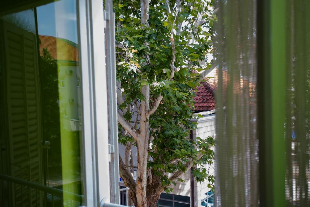 a tree seen through a window of a building at Apartment City Heart in Trebinje