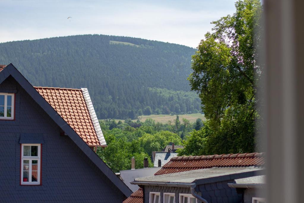 Gästehaus Schmitz - Appartement