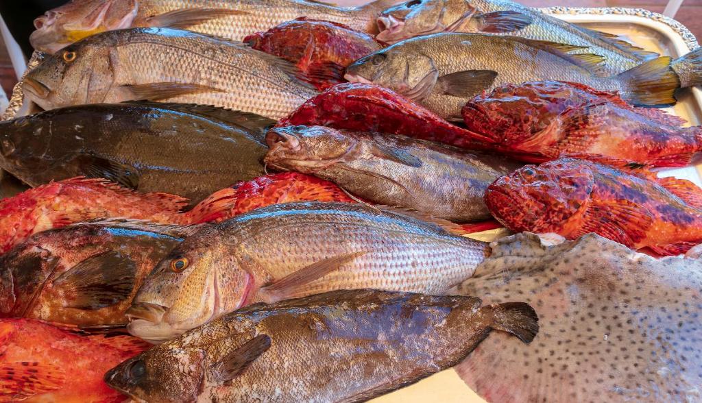 a bunch of fish sitting in a basket at Hotel Le Maquis in Porticcio