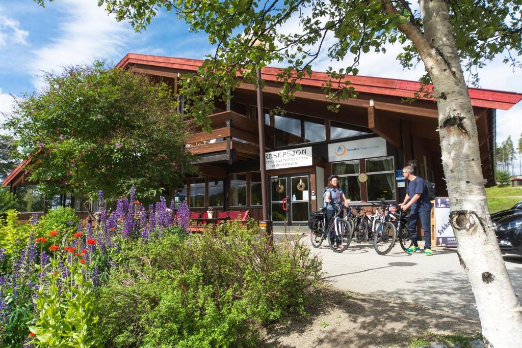 Hosté ubytování Dombås Hostel