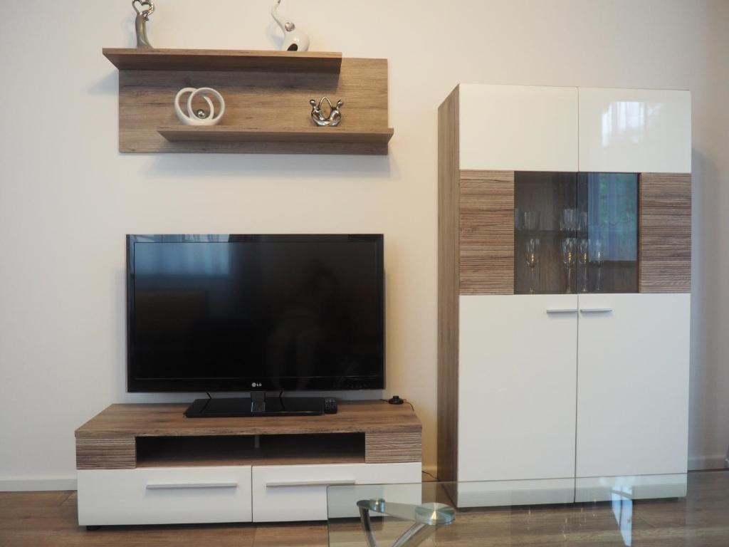 Televízia a/alebo spoločenská miestnosť v ubytovaní Apartament RED FLOWERS