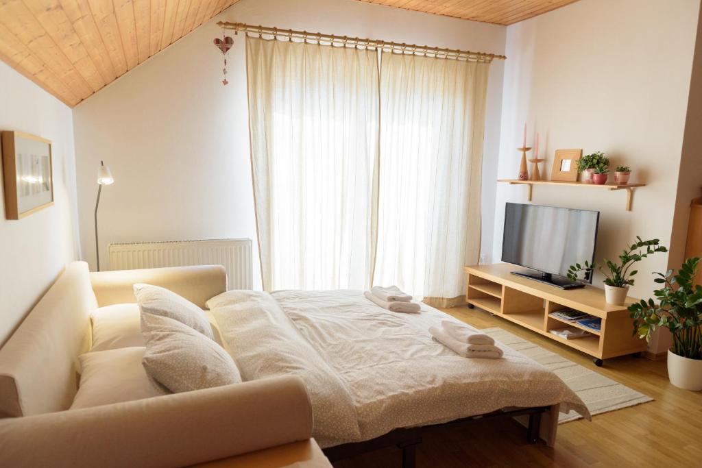 TV a/nebo společenská místnost v ubytování Žltý Dom