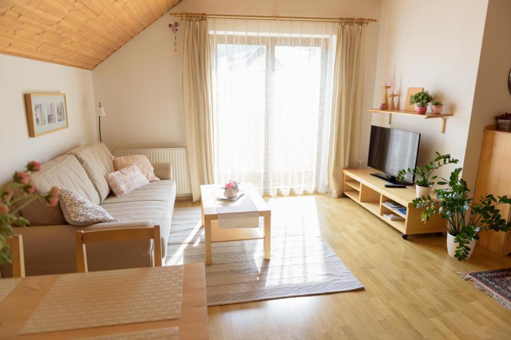 TV a/nebo společenská místnost v ubytování Žltý Dom