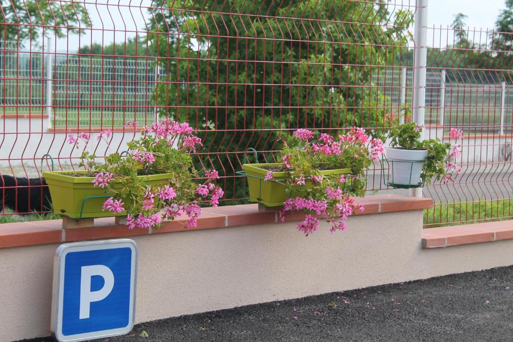Zahrada ubytování B&B La Garona