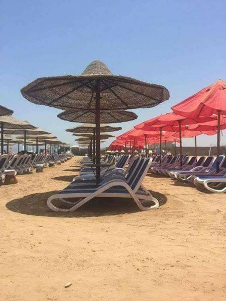 Fotografie z fotogalerie ubytování Porto South Beach Chalet v destinaci Ain Soukhna