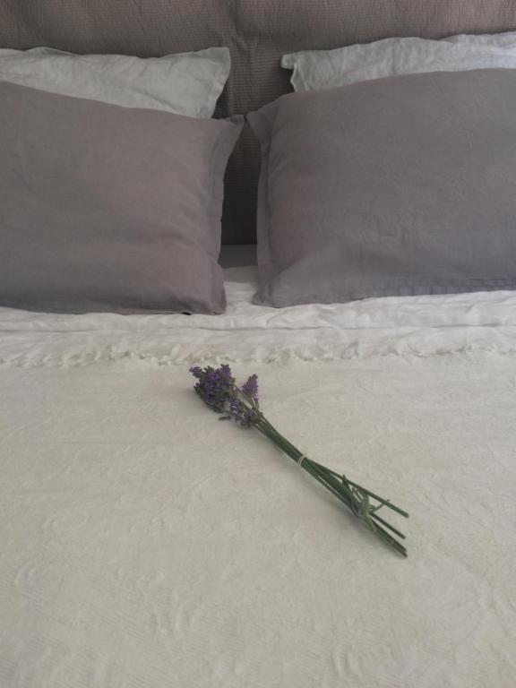 bukiet fioletowych kwiatów siedzących na łóżku w obiekcie La Vigne w mieście Saint-Jean-de-Rebervilliers