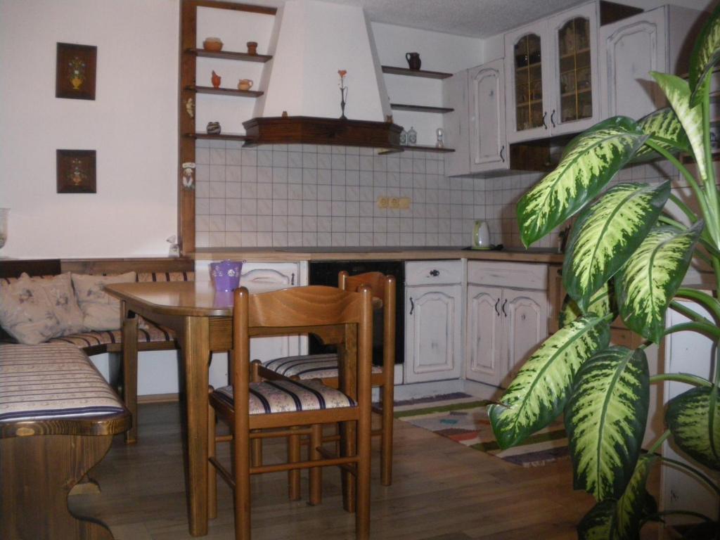 Kuchyň nebo kuchyňský kout v ubytování Apartment Cesar