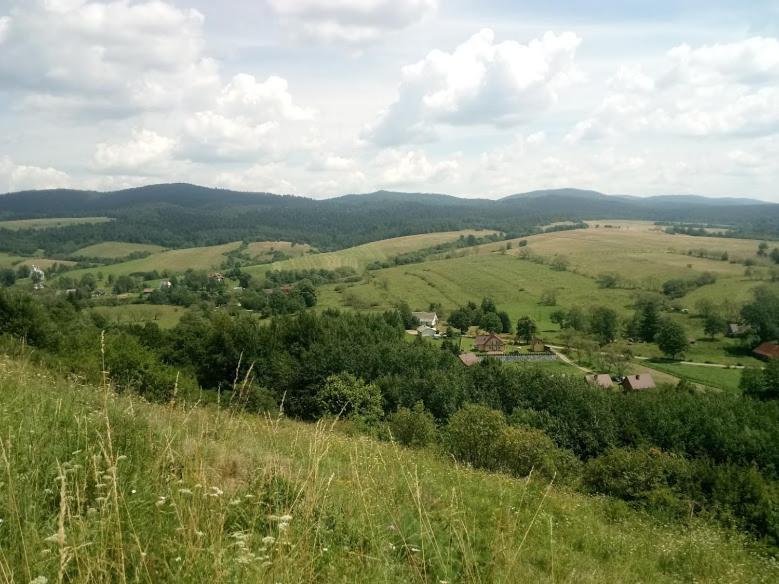 Príroda v okolí chaty v prírode