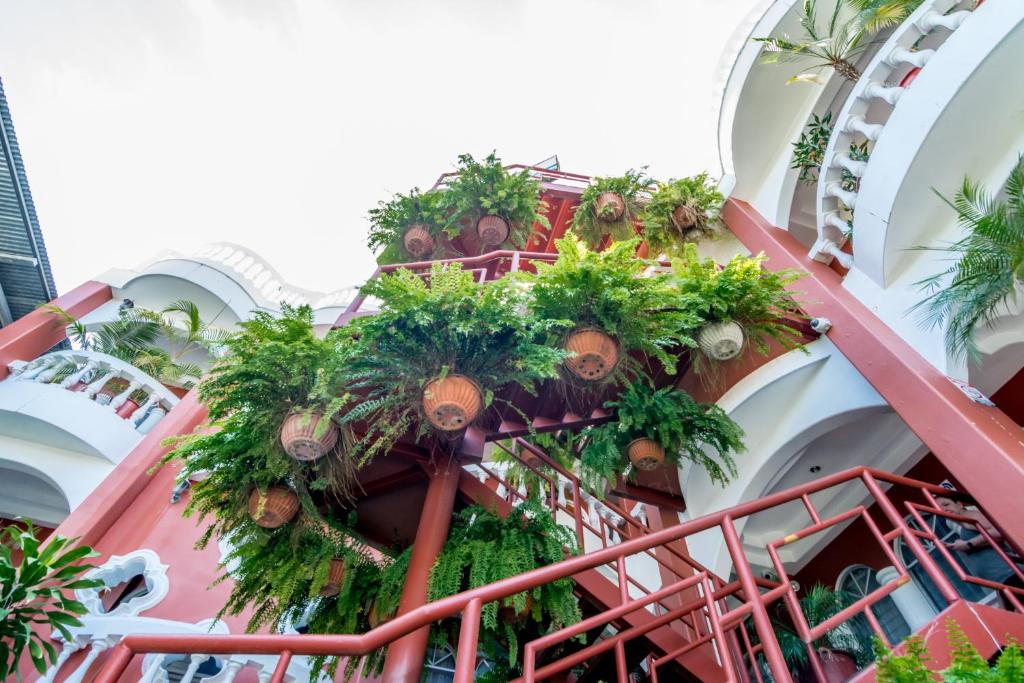 Zahrada ubytování Hotel Le Priss