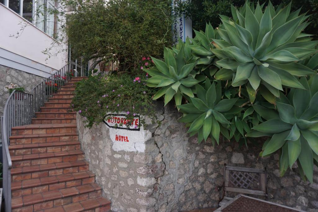 un conjunto de escaleras con plantas en una pared de piedra en Hotel Villa Souvenir, en Forza dʼAgro