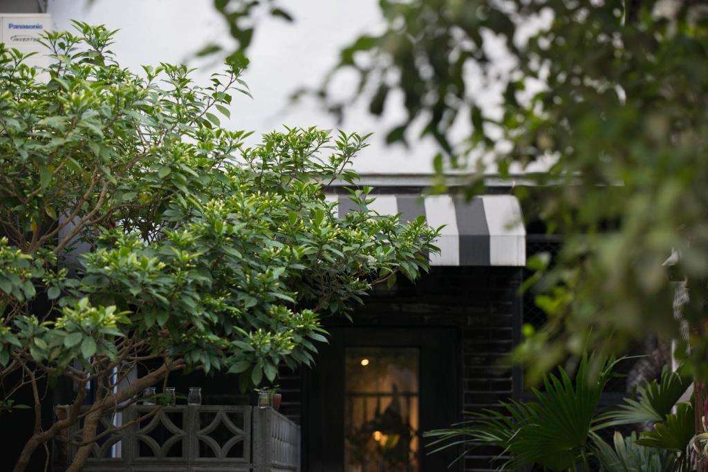 台南的住宿－被愛咖啡小旅館 Birdeye Garden，前方有树门廊的房子