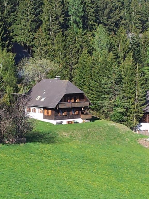 a large building with a black roof on a green field at Schweighofers Almhaus in Heilbrunn