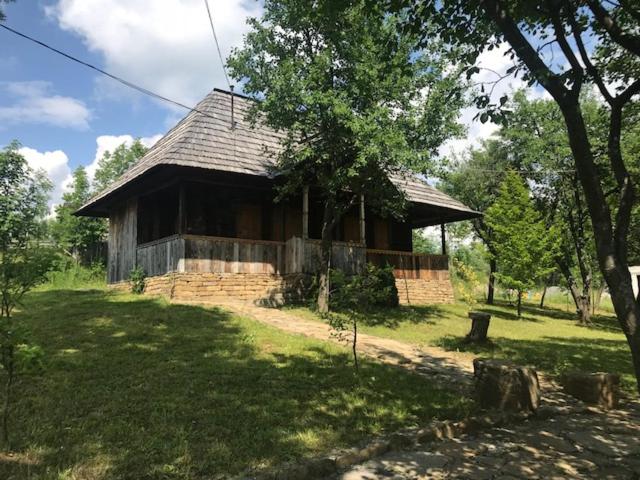 Granny's House