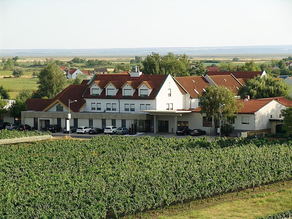 Příroda nedaleko hotelu
