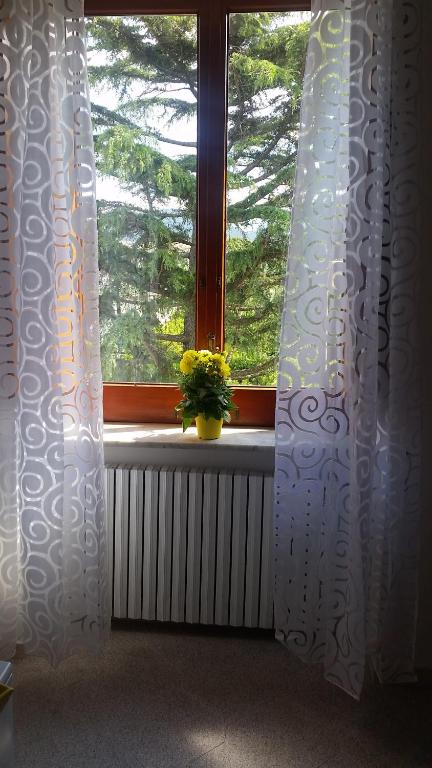 Casa Carolina B&B - 8