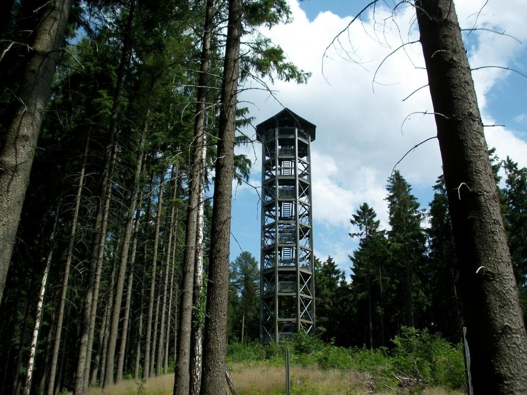 Příroda nedaleko apartmánu