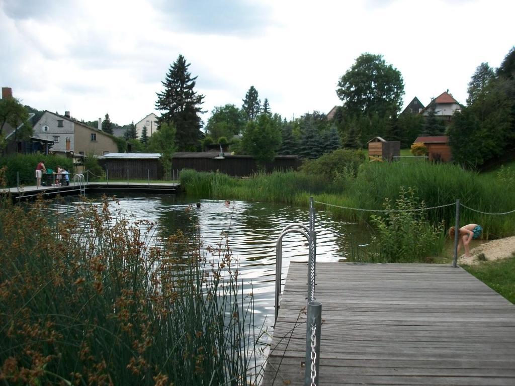 Příroda nedaleko apartmánu