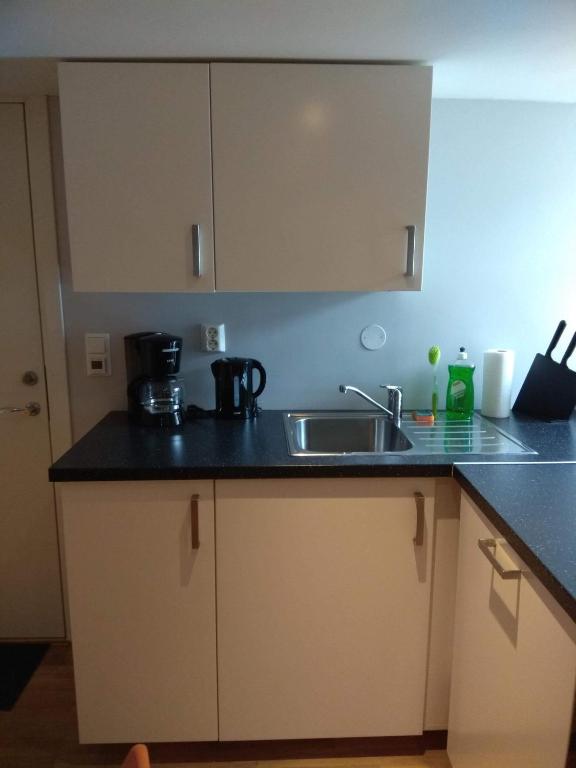 Kuchyň nebo kuchyňský kout v ubytování Skuteviken Apartments 40