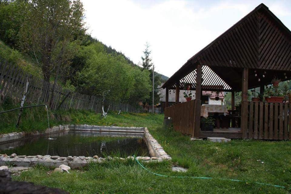 Příroda nedaleko penzionu