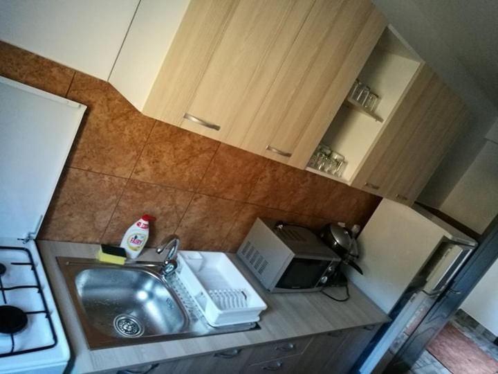 Kuchyň nebo kuchyňský kout v ubytování Pensiunea ,,Suciu"