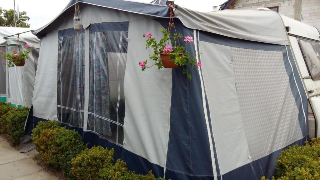 Zahrada ubytování Caravans Magda