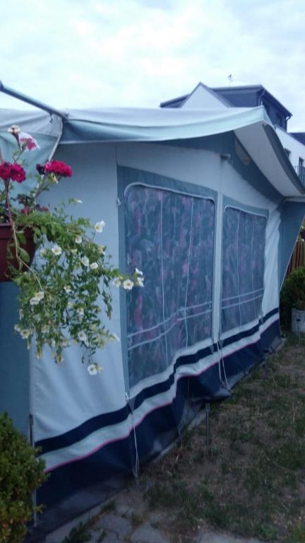 Zahrada ubytování Caravans Magda