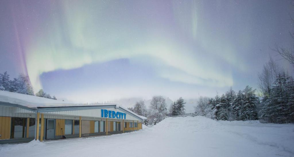 ロヴァニエミにあるCapsule Hotel Ibedcityの雪に覆われた木々と木々が雪の中に建つ建物