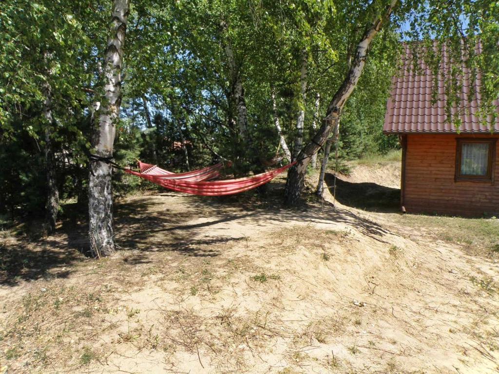Vonkajšia záhrada v ubytovaní PokojeKajaki DD Swornegacie