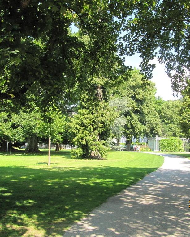 Zahrada ubytování K-Hotel (Grüner Baum)