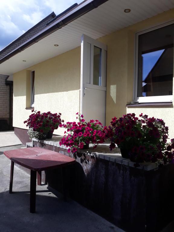 una panchina seduta di fronte a una casa con dei fiori di Alyvos a Ignalina