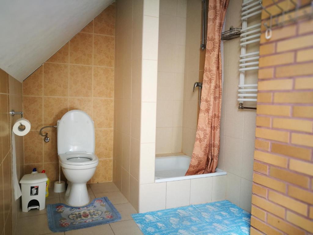 un piccolo bagno con servizi igienici e doccia di Agrowczasy u Mirusi a Wiżajny