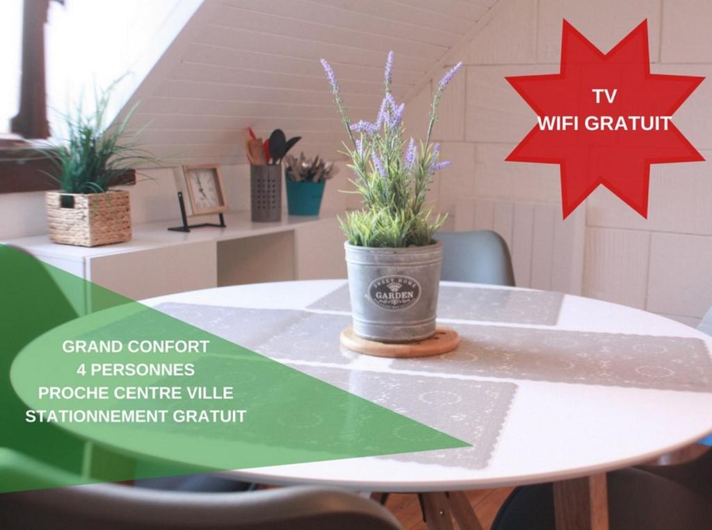 une table avec des plantes et une étoile rouge dans l'établissement Welcome Calais - SuperCalais, à Calais