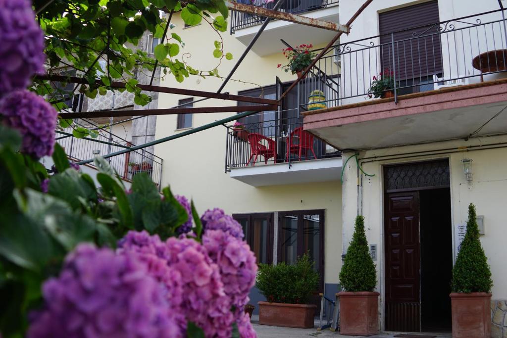 Jazz & Blues Apartments near " Sentiero degli Dei " - 8