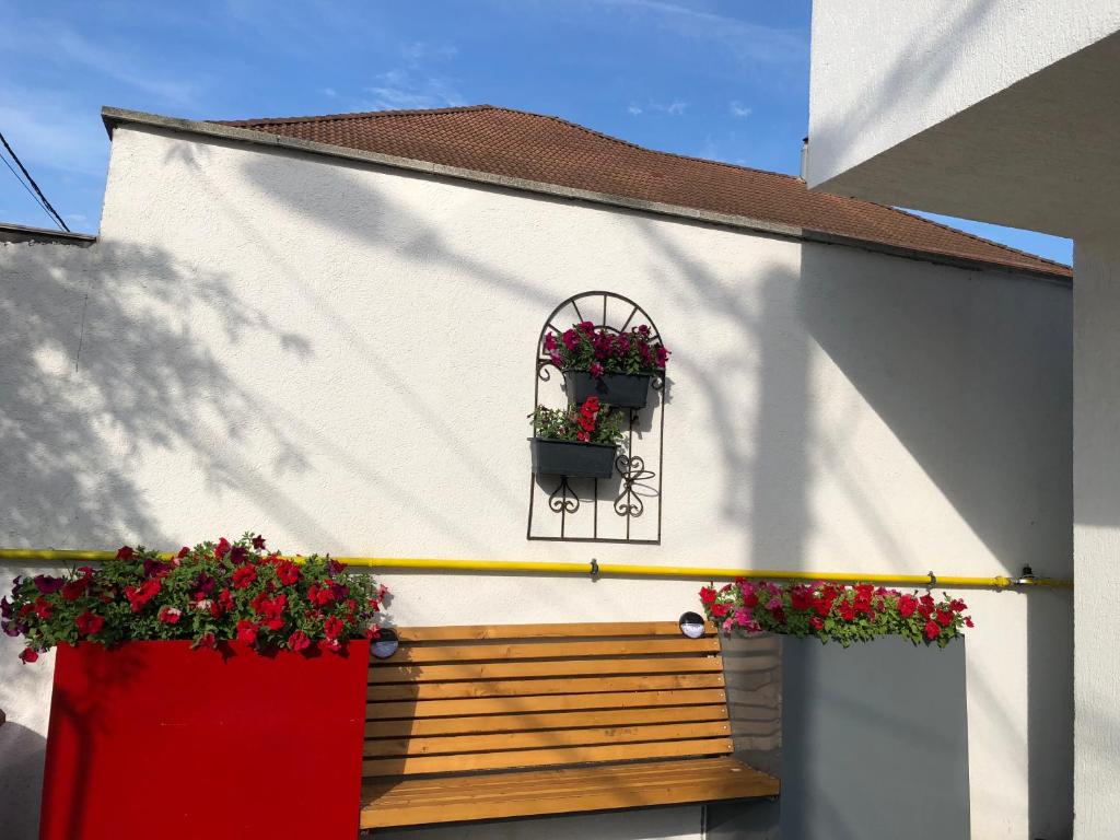 Teodoroiu nr. 5 - Resim 25