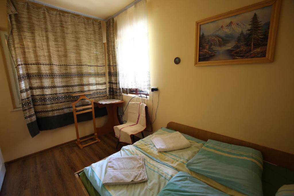 Postel nebo postele na pokoji v ubytování Pensiune Saroklak
