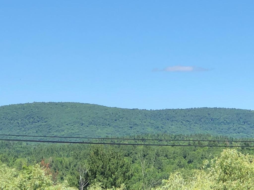 Antique Rose Inn Windham, Windham Updated 2023 Prices