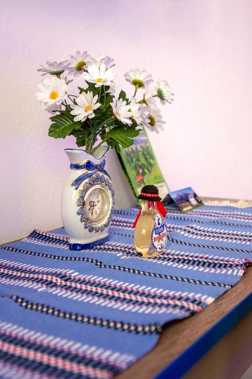 Fotografie z fotogalerie ubytování Guesthouse Cyprian ve Ždiaru