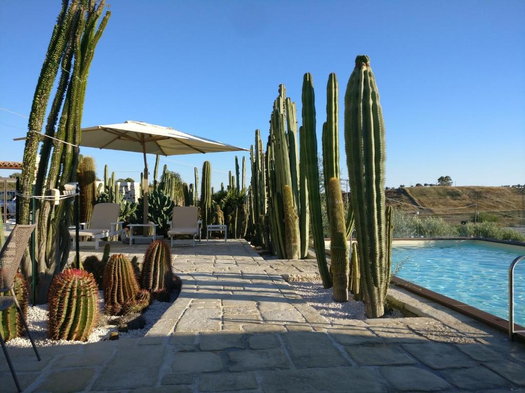 Bazén v ubytovaní Garden Cactus alebo v jeho blízkosti