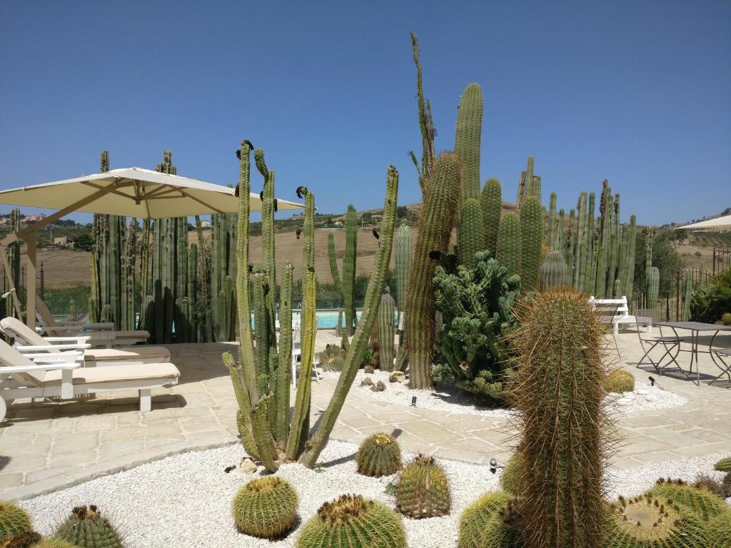 Vonkajšia záhrada v ubytovaní Garden Cactus