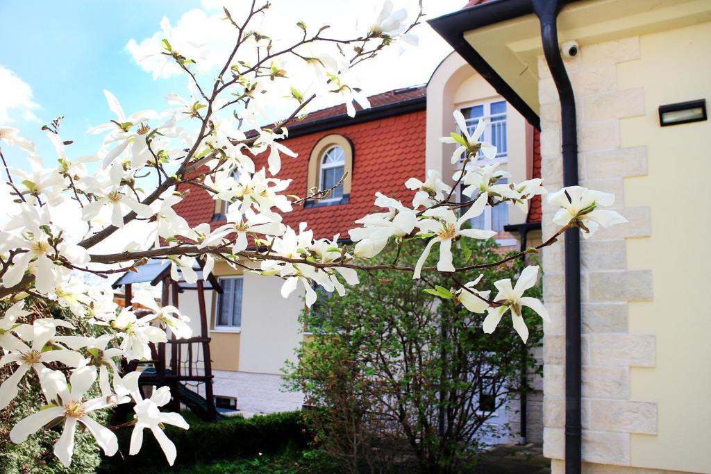 Budova, v ktorej sa ubytovanie bed & breakfast nachádza